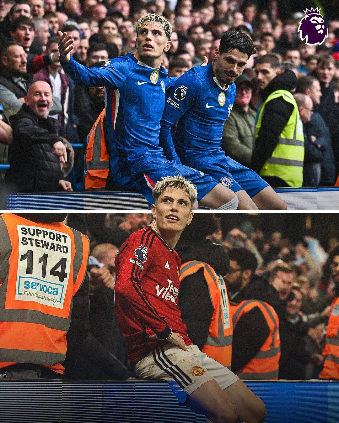 樊振东以 樊振东以